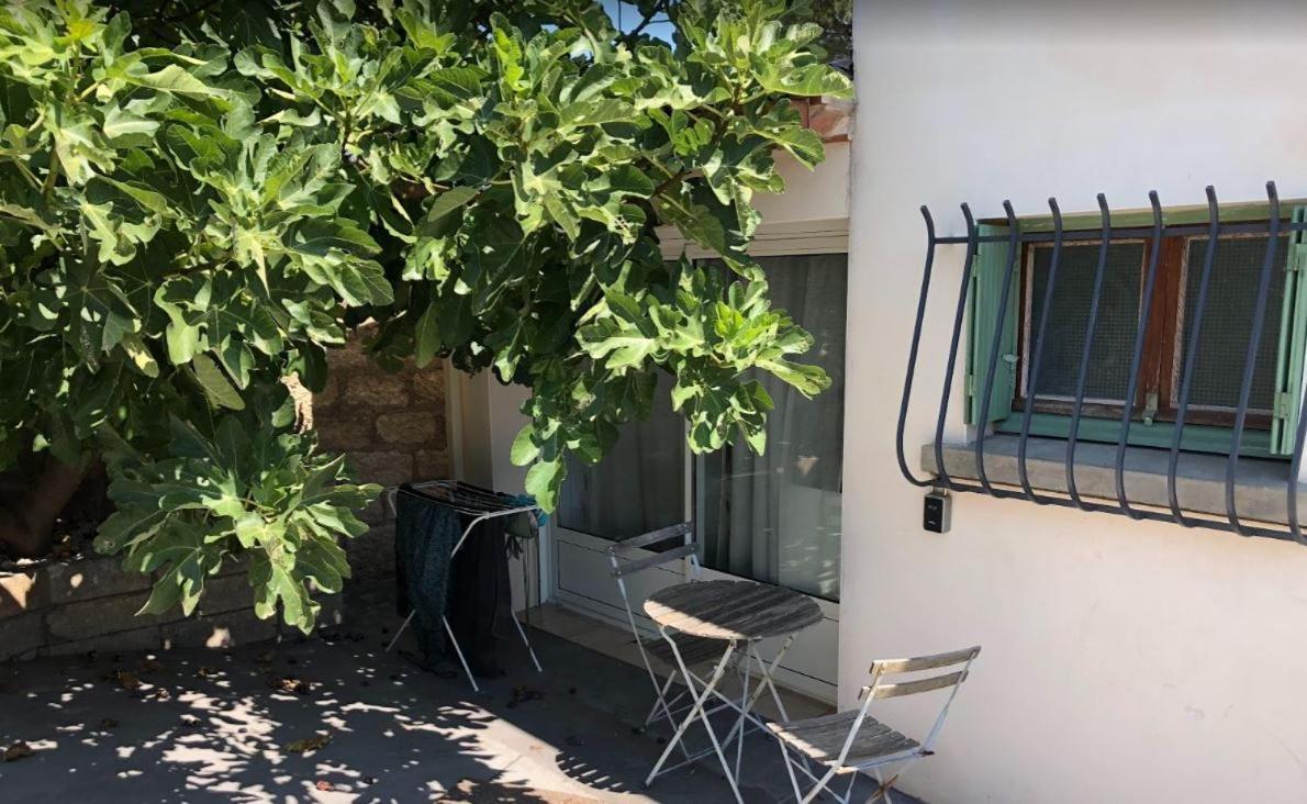 Le Nid Castries - Charmant Logement Complet Et Equipe Centre Castries Proche Montpellier Exteriör bild